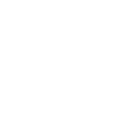 Cloud icon.